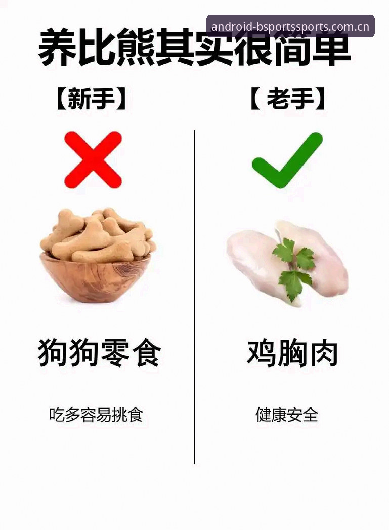 B体育官方服务推荐 B体育官方平台服务推荐完整指南:新手到老手的使用心得